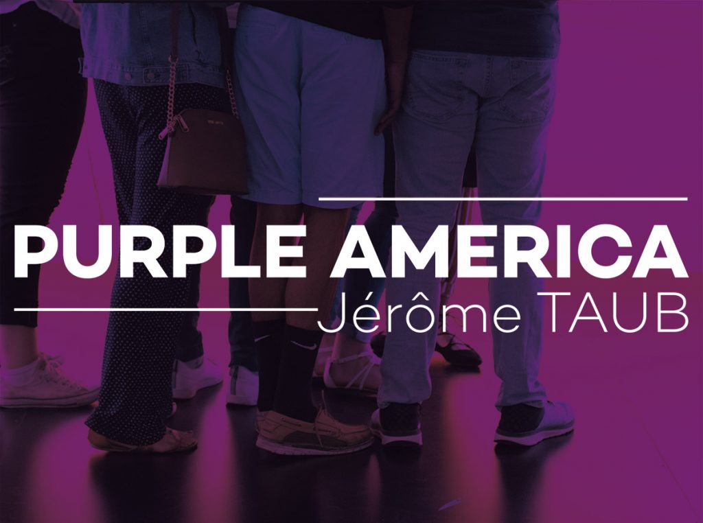 Exposition Purple America de Jérôme Taub